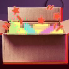 cardboard box with censored items