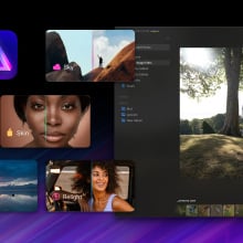 Luminar Neo Lifetime
