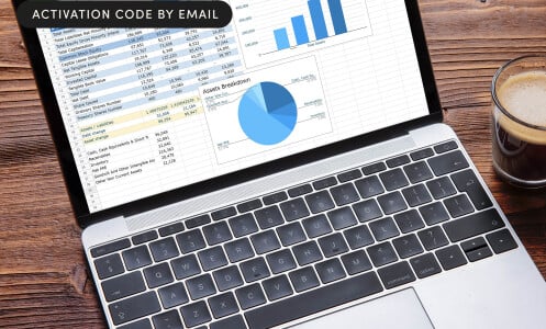MS Office Home and Business
